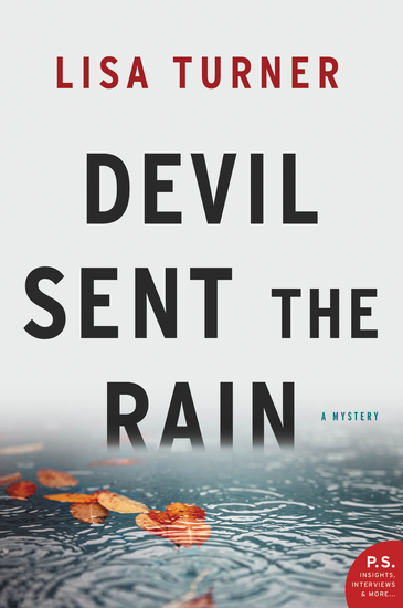 Devil Sent the Rain - A Mystery - cover