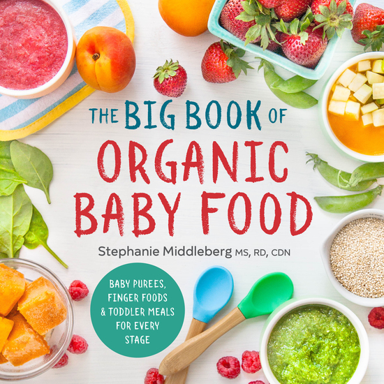 The Big Book of Organic Baby Food - Baby Purées Finger Foods and Toddler Meals For Every Stage - cover