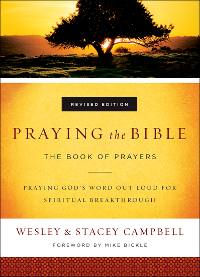 Praying the Bible - The Book of Prayers - cover