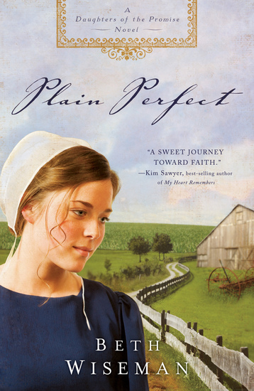 Plain Perfect - cover