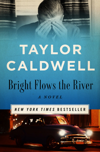 Bright Flows the River - A Novel