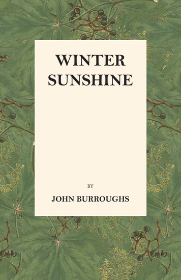 Winter Sunshine - cover
