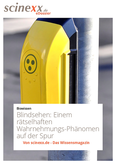 Blindsehen - Einem rätselhaften Wahrnehmungs-Phänomen auf der Spur - cover