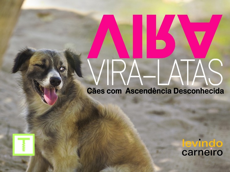 Vira Viralatas - cover
