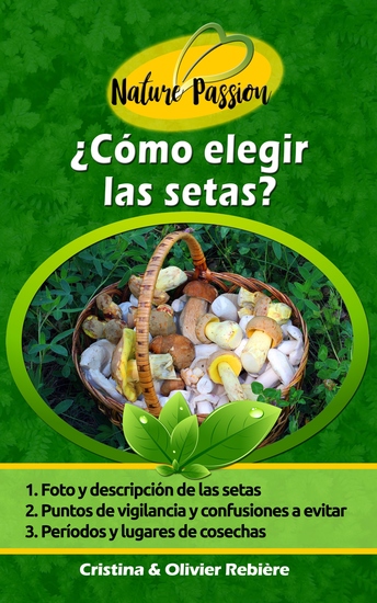 ¿Cómo elegir las setas? - ¿Cómo reconocer las setas en el bosque? - cover