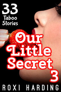 Our Little Secret #3 - 33 Taboo Stories