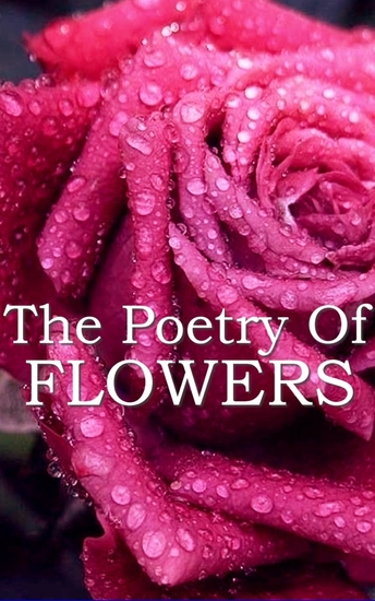 The Poetry Of Flowers - cover