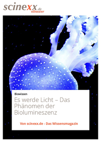Es werde Licht… - Das Phänomen der Biolumineszenz