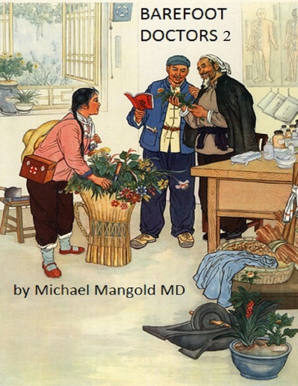 Barefoot Doctors 2 - cover