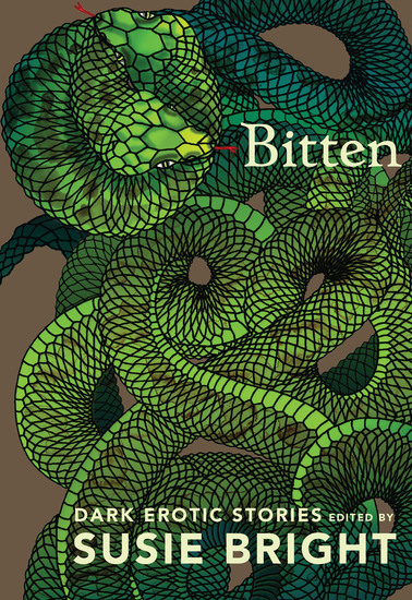 Bitten - Dark Erotic Stories - cover