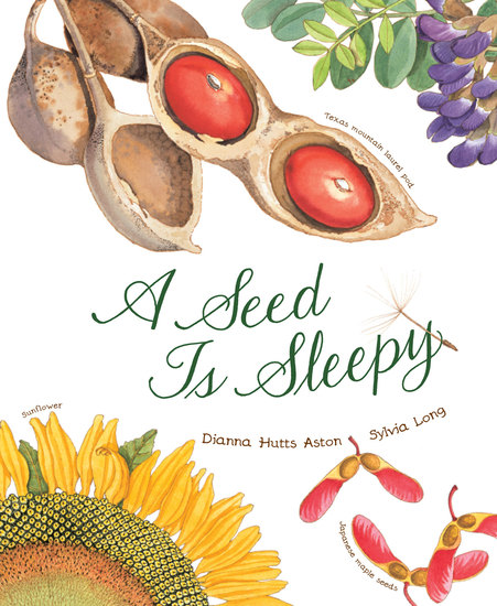 A Seed Is Sleepy - cover