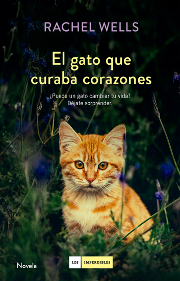 El gato que curaba corazones - cover
