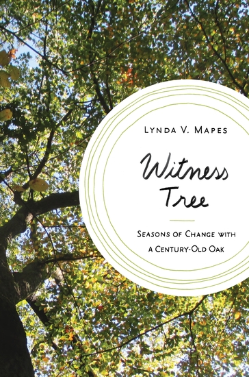 Witness Tree - Seasons of Change with a Century-Old Oak - cover