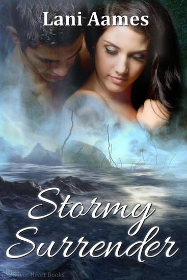 Stormy Surrender - cover