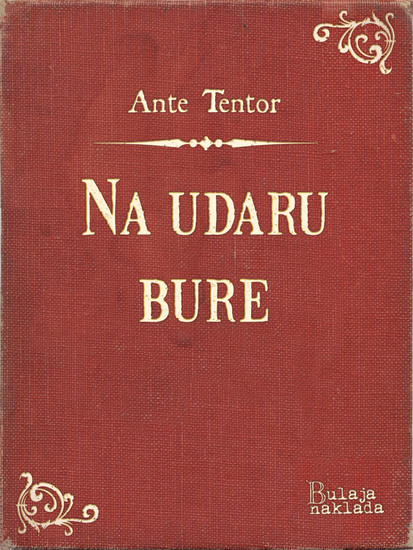 Na udaru bure - cover