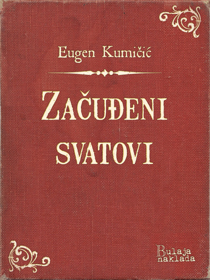 Začuđeni svatovi - cover