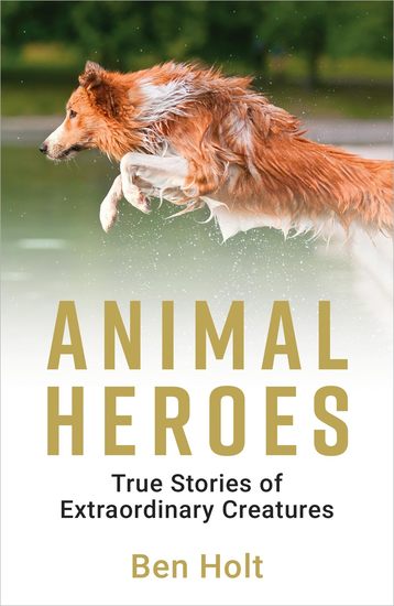 Animal Heroes - True Stories of Extraordinary Creatures - cover