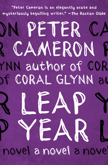 Leap Year - A Novel - cover