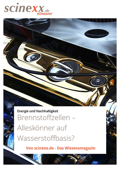 Brennstoffzellen - Allesk�nner auf Wasserstoffbasis? - cover