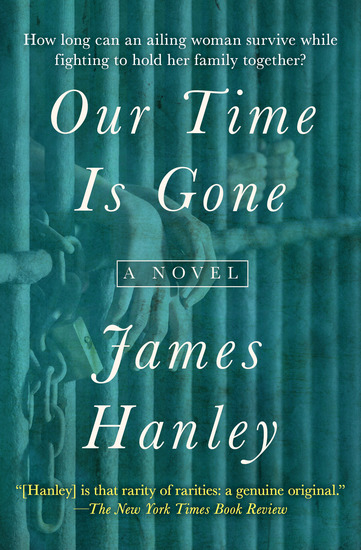 Our Time Is Gone - A Novel - cover