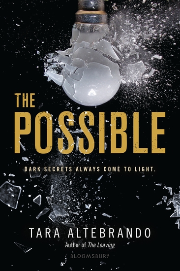 The Possible - cover