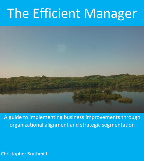 The Efficient Manager - A guide to implementing business improvements through organizational alignment and strategic segmentation - cover
