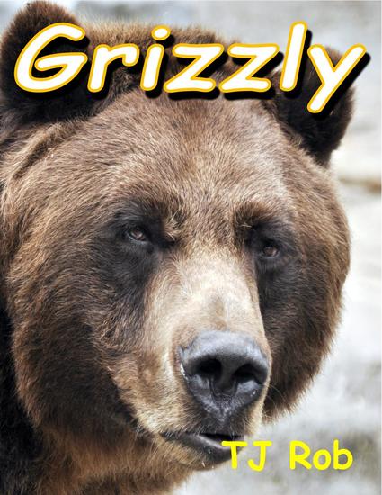 Grizzly - Discovering The World Around Us - cover