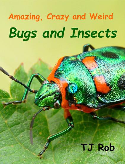 Amazing Crazy and Weird Bugs and Insects - Fascinating Crazy and Weird Animal Facts - cover