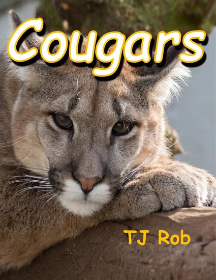 Cougars - Discovering The World Around Us - cover