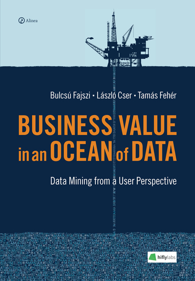 Business Value in an Ocean of Data - Data Mining from a User Perspective - cover