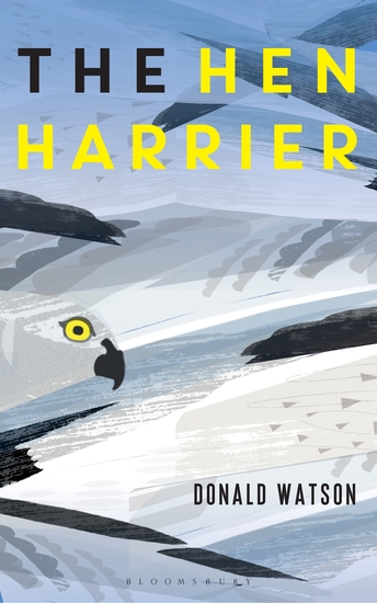 The Hen Harrier - cover