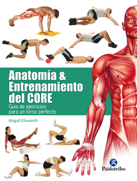 Anatomía y entrenamiento del core - Guía de ejercicios para un torso perfecto