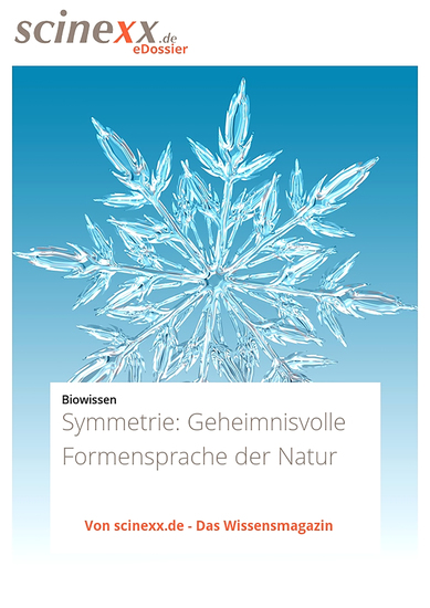 Symmetrie - Geheimnisvolle Formensprache der Natur - cover
