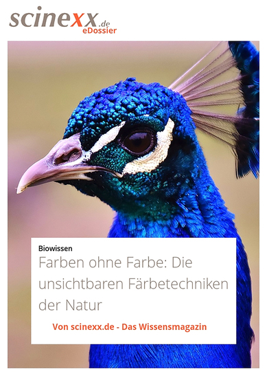 Farben ohne Farbe - Die "unsichtbaren" Färbetechniken der Natur - cover