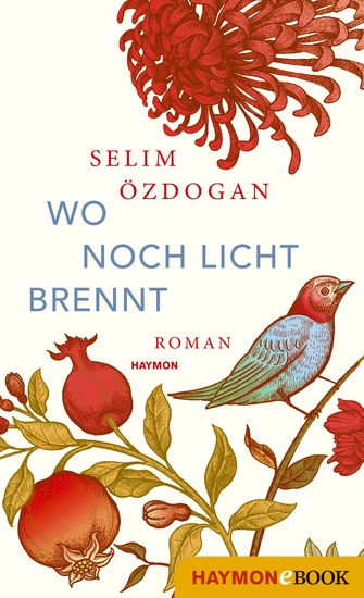 Wo noch Licht brennt - Roman - cover