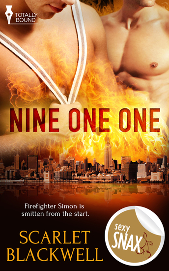 Nine One One - cover
