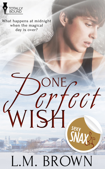 One Perfect Wish - cover