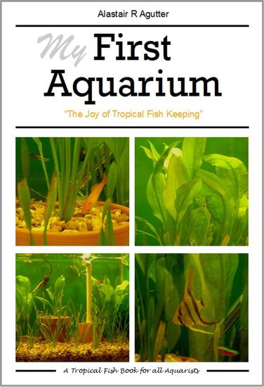 My First Aquarium Book - cover