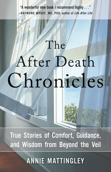 The After Death Chronicles - True Stories of Comfort Guidance and Wisdom from Beyond the Veil - cover