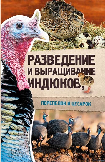 Разведение и выращивание индюков перепелок и цесарок (Razvedenie i vyrashhivanie indjukov perepelok i cesarok) - cover