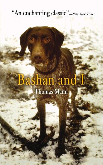 Bashan and I - cover