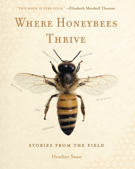 Where Honeybees Thrive - Stories from the Field - cover