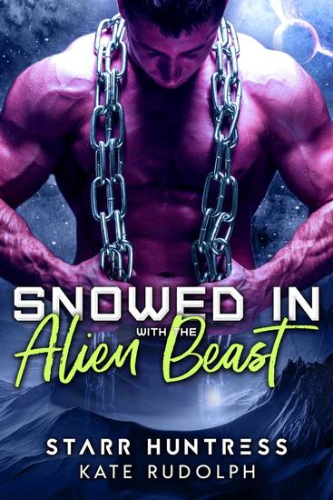 Snowed in with the Alien Beast - cover