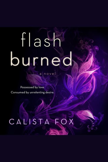 Flash Burned - A Novel - cover