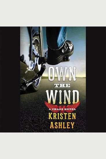 Own the Wind - A Chaos Novel - cover