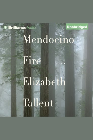 Mendocino Fire - Stories - cover