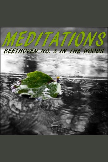 Meditations – Beethoven No 3 in the Woods - cover
