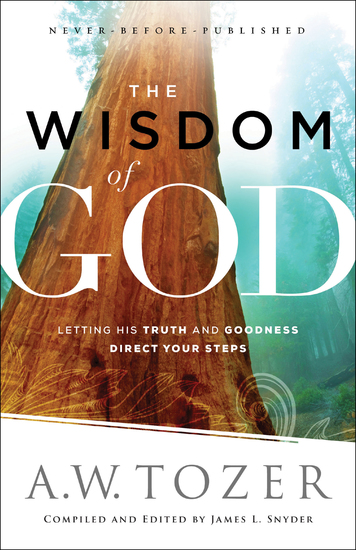 The Wisdom of God - Letting His Truth and Goodness Direct Your Steps - cover