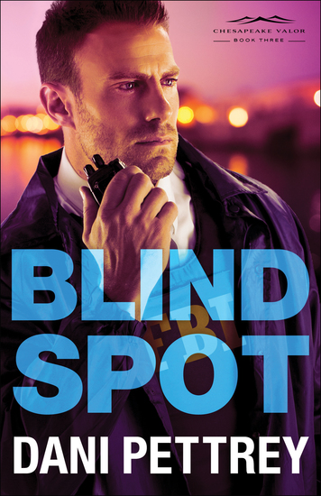 Blind Spot (Chesapeake Valor Book #3) - cover