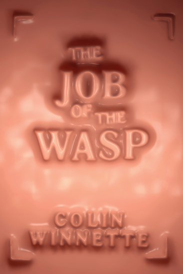 The Job of the Wasp - A Novel - cover